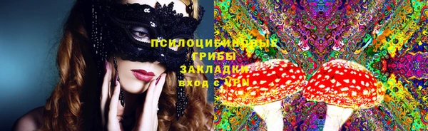 молекула духа Алексеевка