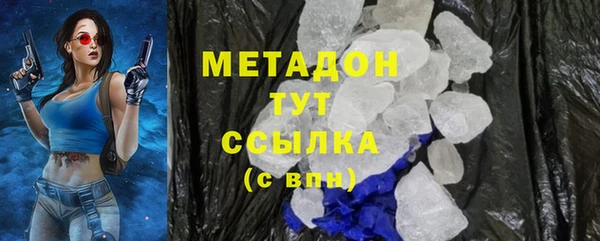 индика Алексин