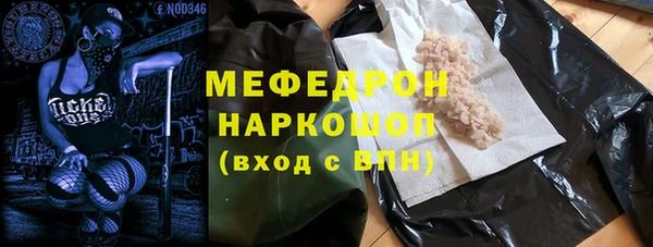 индика Алексин