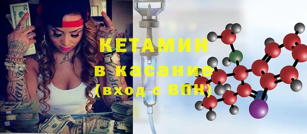 индика Алексин