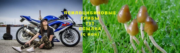 молекула духа Алексеевка
